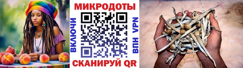 Галлюциногенные грибы мухоморы  Сортавала 